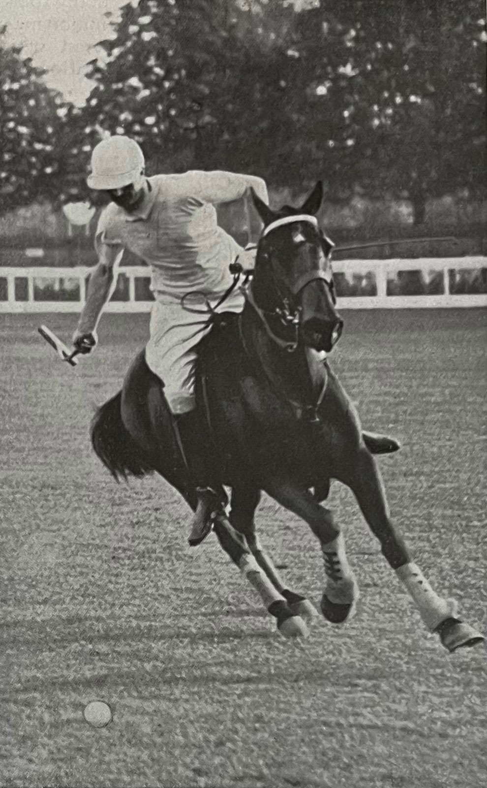 Historická fotografie hráče póla na koni